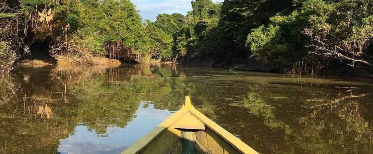 Amazonas